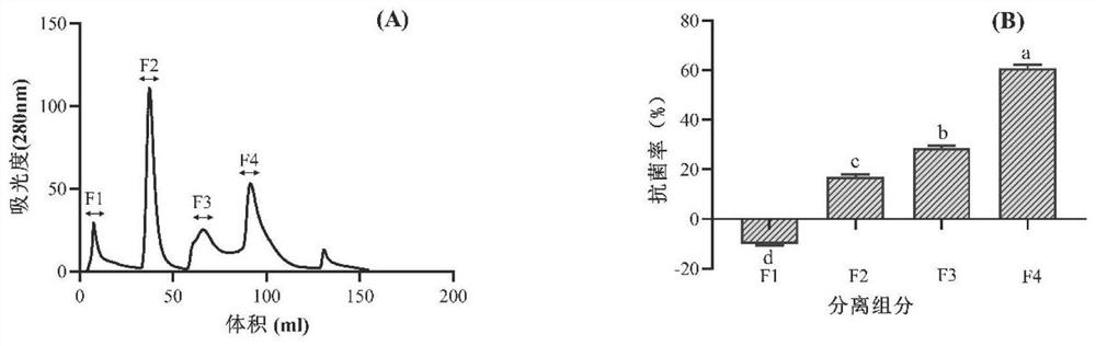 Ovotransferrin antibacterial peptide and preparation method thereof