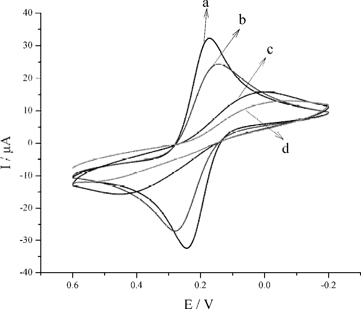 Immunosensor for detecting aspergillus parasiticus used for producing aflatoxin and preparing method thereof