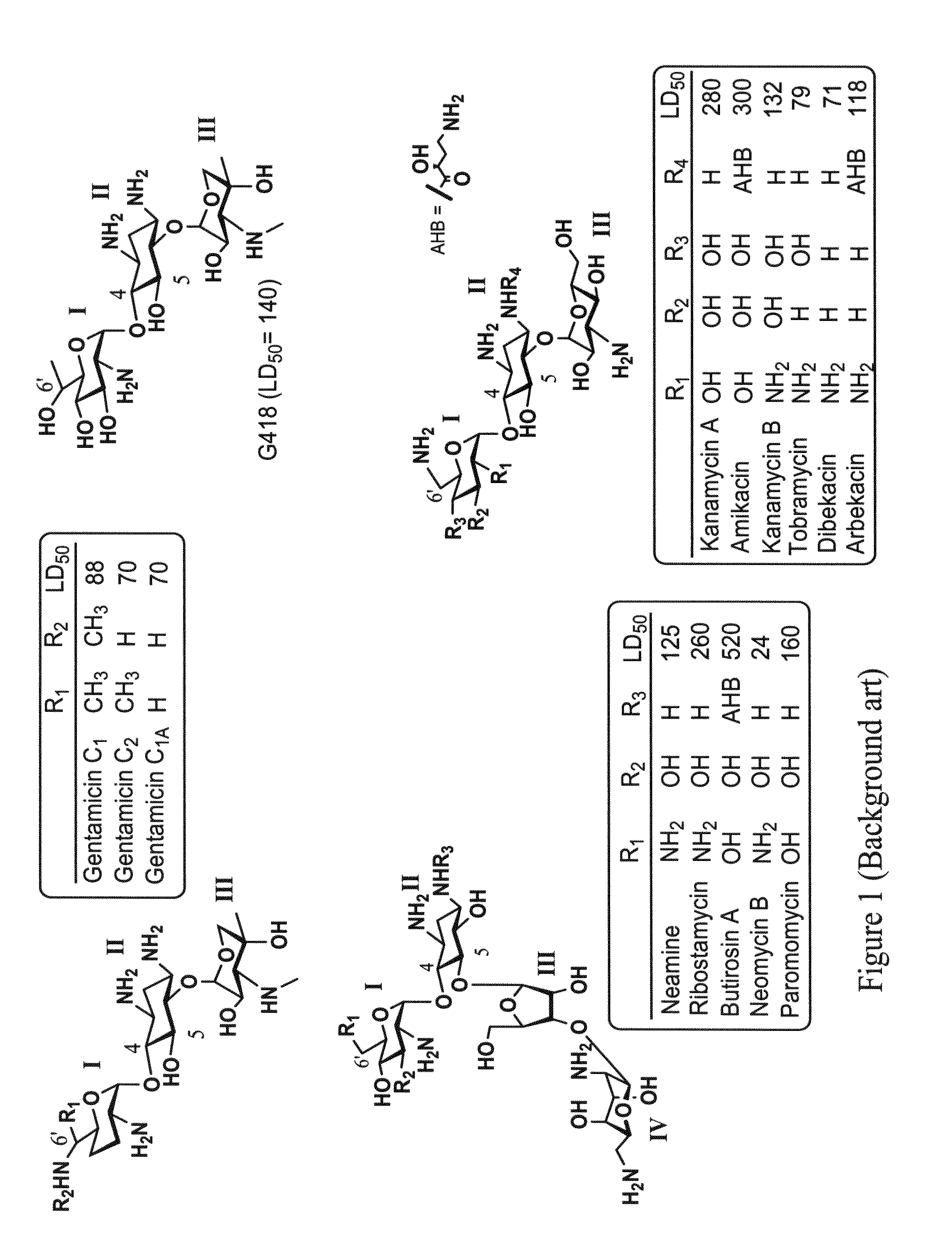 Novel aminoglycosides and uses thereof in the treatment of genetic disorders