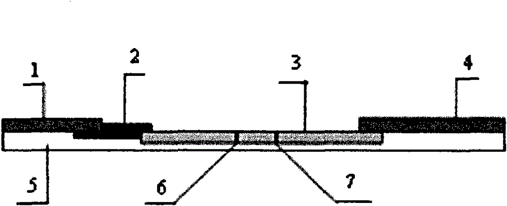 Colloidal gold testing paper card used for detecting rabies virus antibodies of dogs and cats, preparation method and application thereof