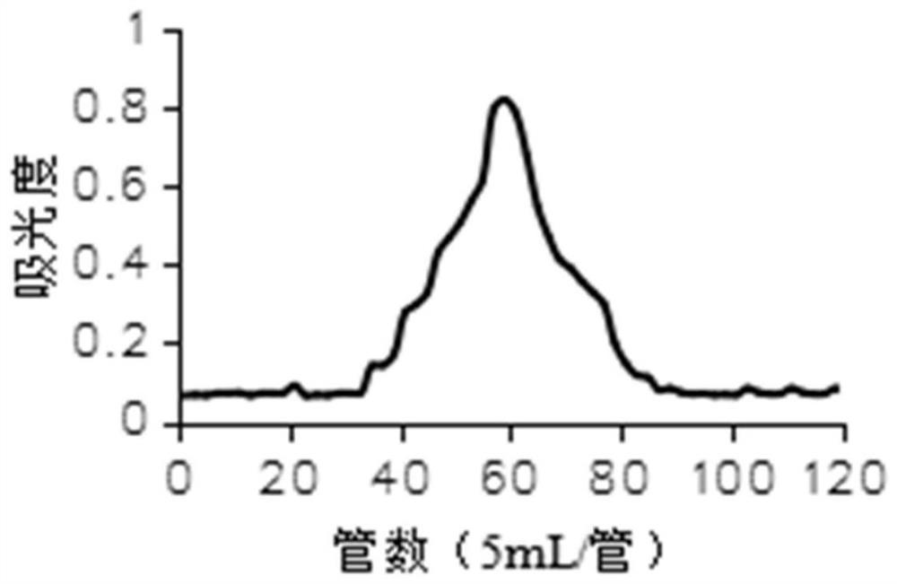 A kind of polysaccharide of Radix Angelica dahurica extracted by enzymatic method, its preparation method and application