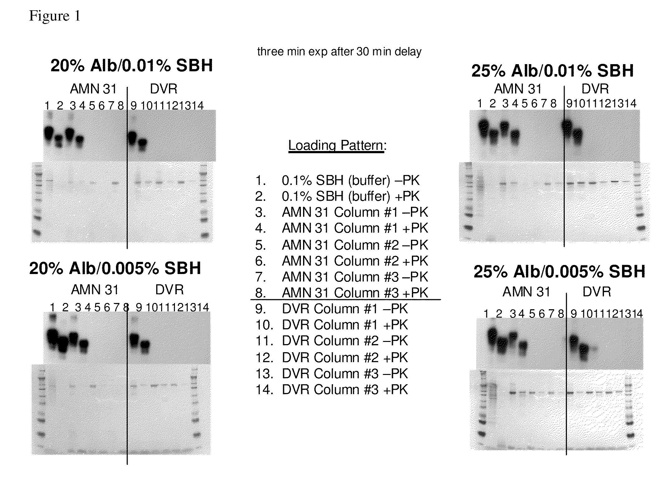 Prion free nanoparticle compositions and methods of making thereof