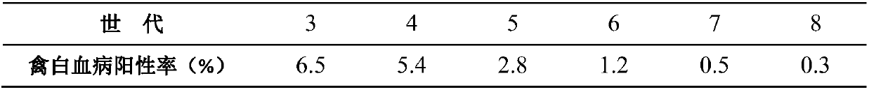 Method for breeding chickens with black feathers