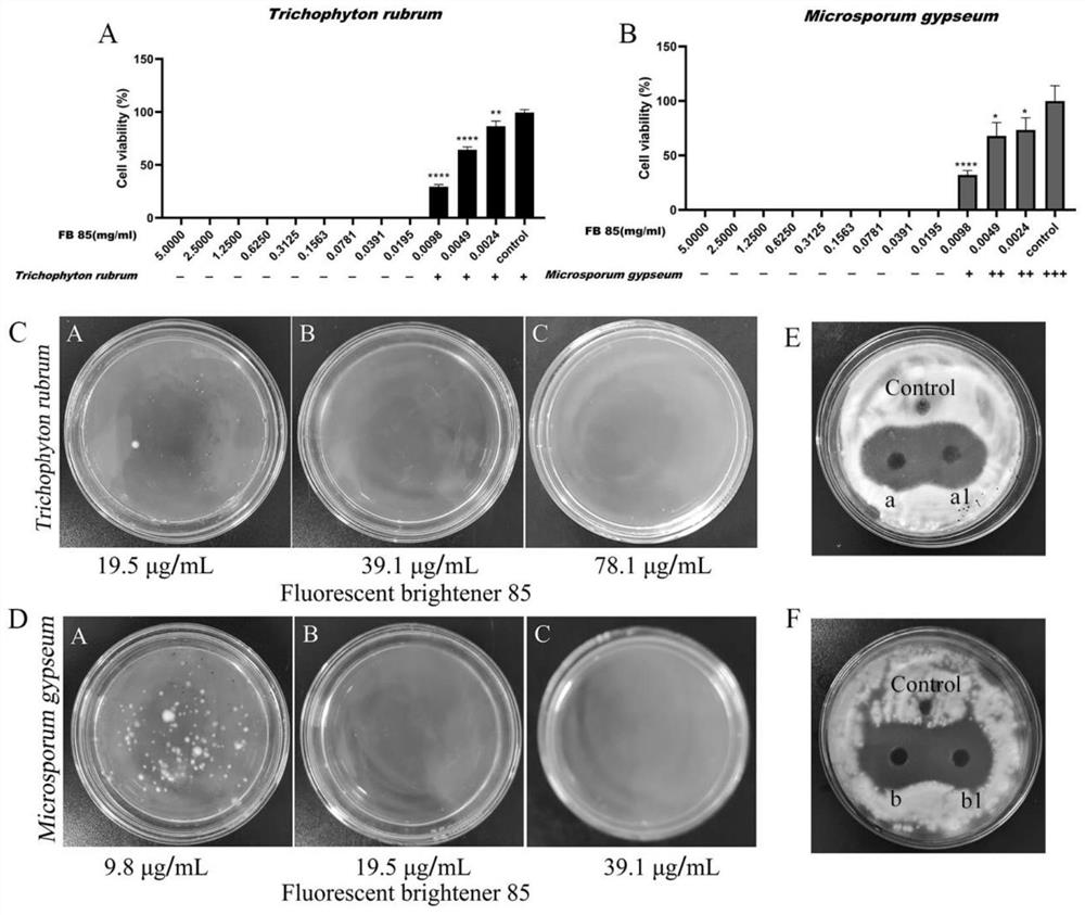 Application of fluorescent whitening agent in fungal infection resistance