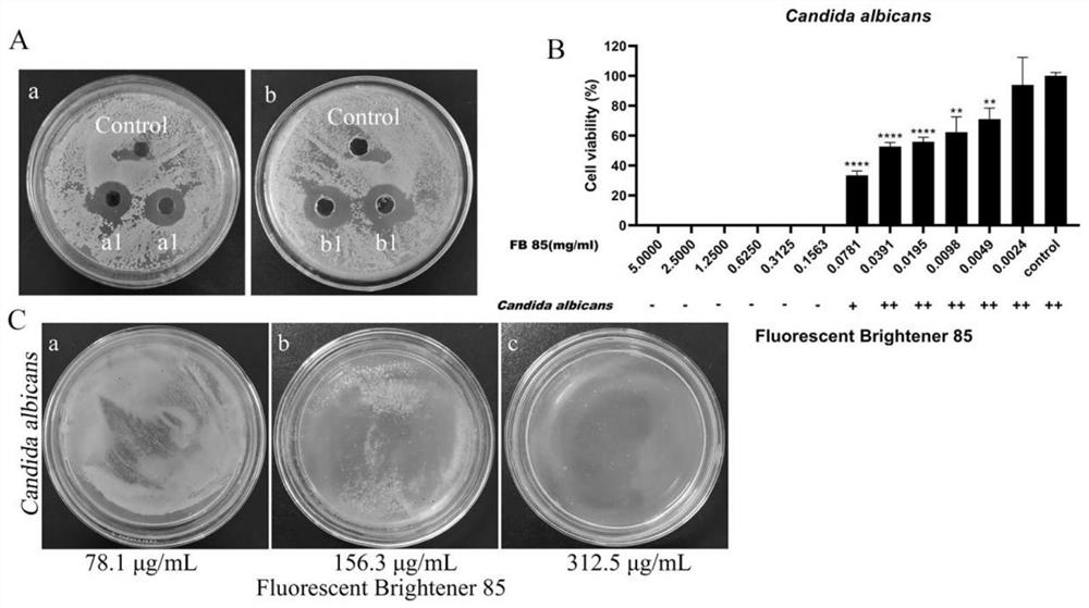 Application of fluorescent whitening agent in fungal infection resistance