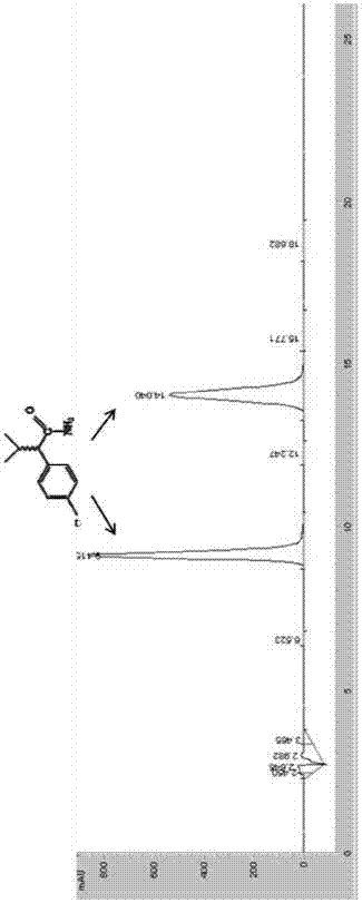 Amidase and its coding gene and application