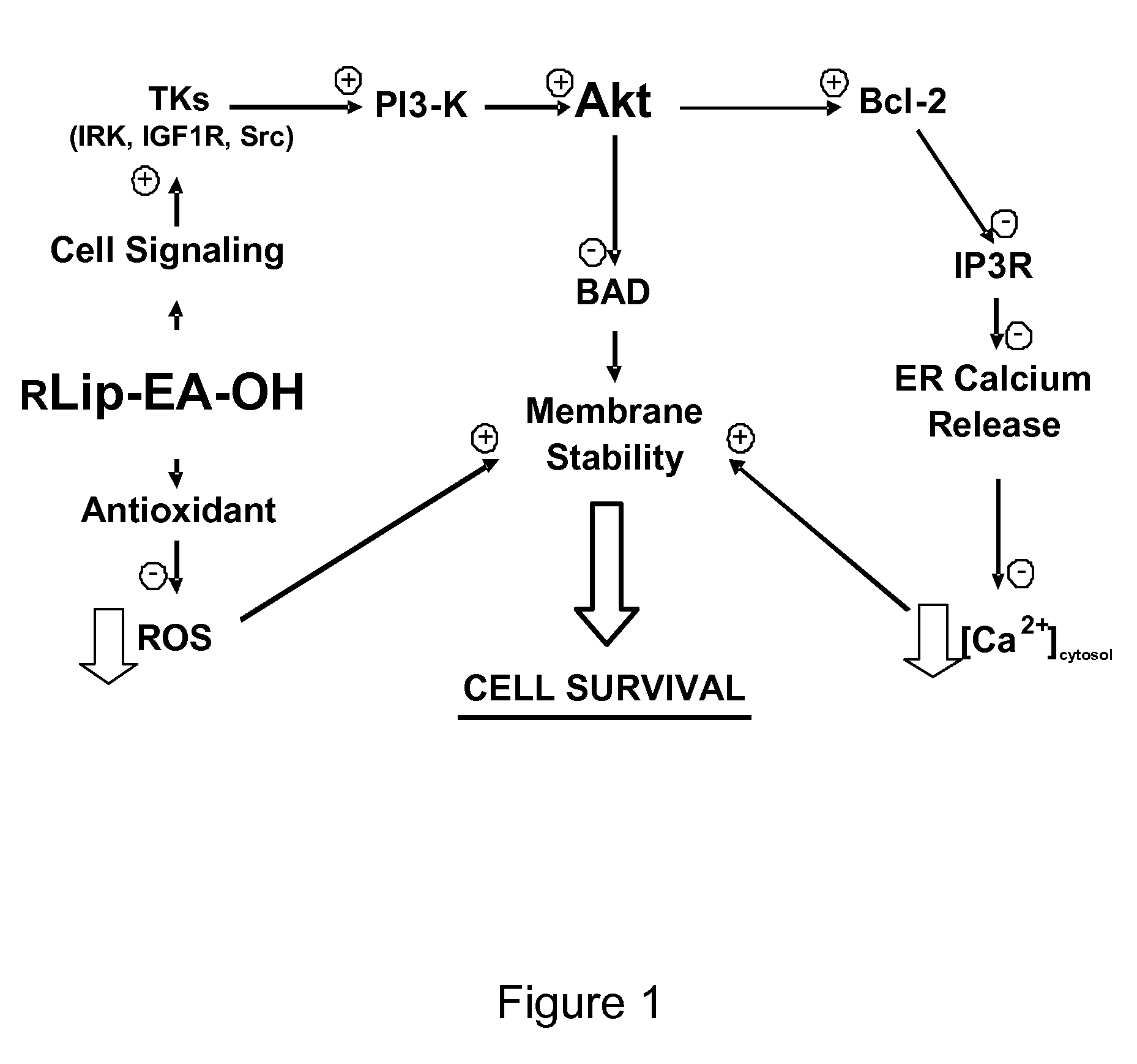 Compositions and methods for treating ischemia and ischemia-reperfusion injury