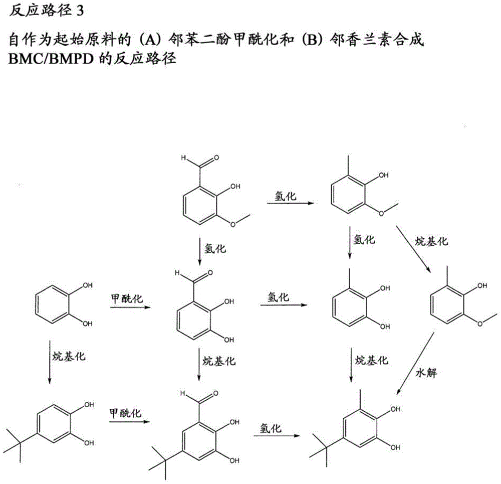Production of substituted phenylene aromatic diesters