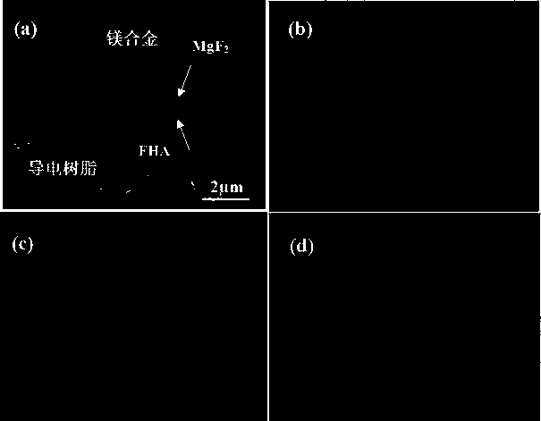 Novel method for preparing fluorine-containing nano-hydroxyapatite coating on surface of biomedical magnesium alloy