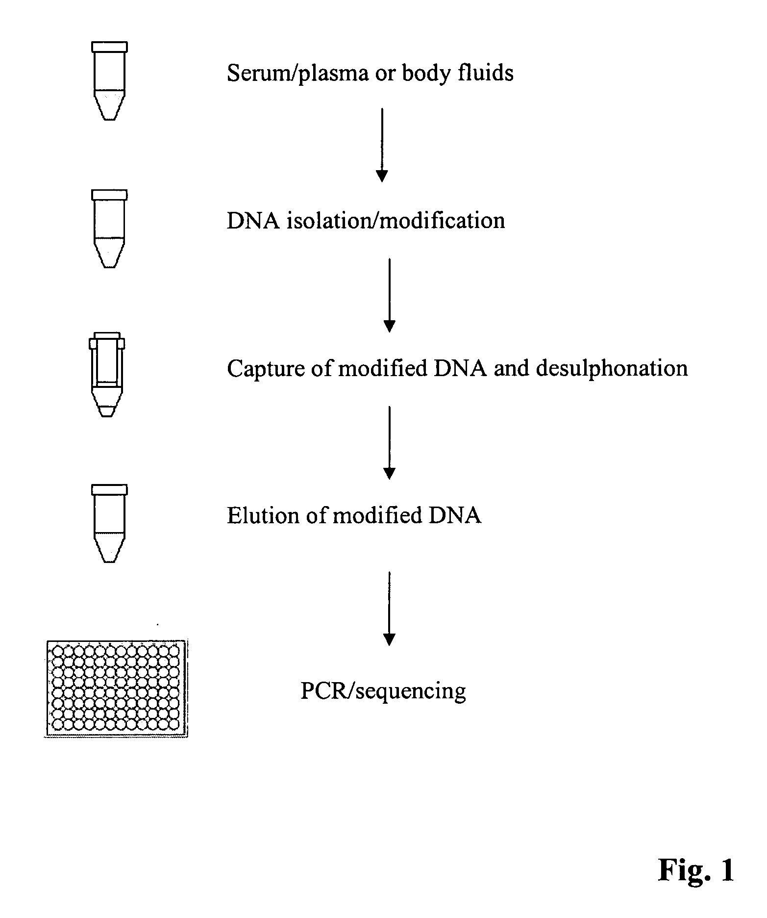 Method for isolating and modifying DNA from blood and body fluids