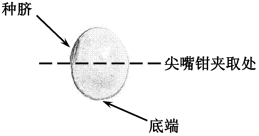 Detection method for soybean water-soluble proteins