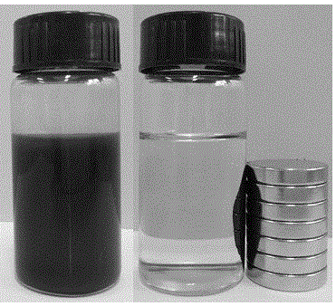 Method for preparing 2,5-dihydroxymethyl furan through 5-hydroxymethyl furfural catalytic transfer hydrogenation