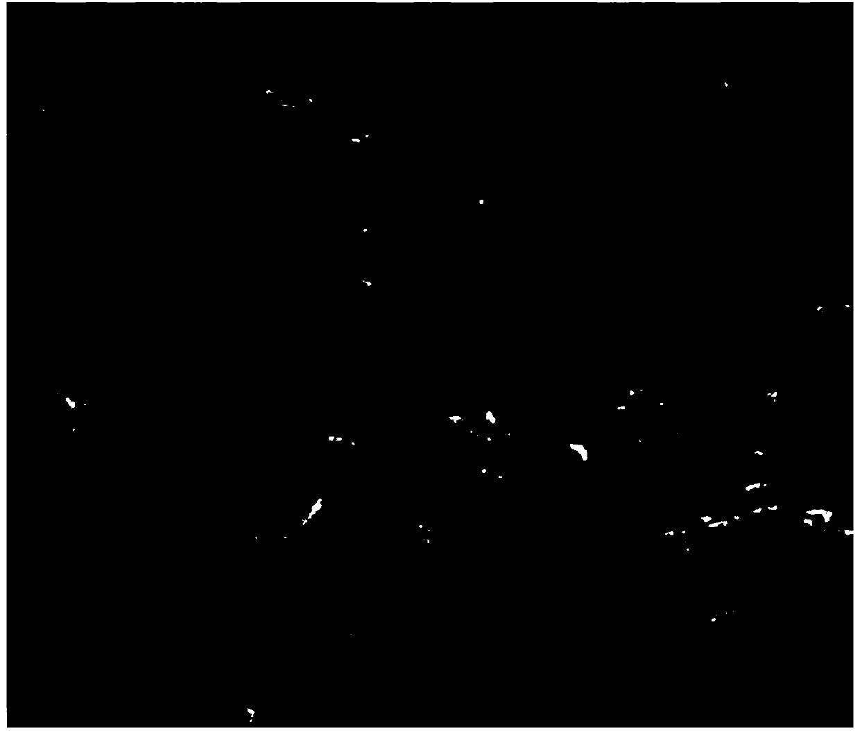 Preparation method of selenium-carbon electrode material with porous structure and application of selenium-carbon electrode material