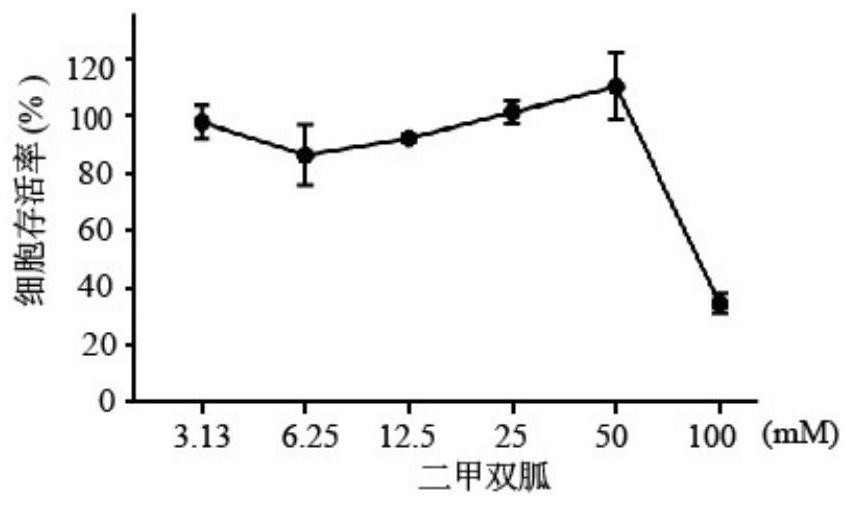 Application of metformin in preparation of medicine for treating hand-foot-and-mouth disease