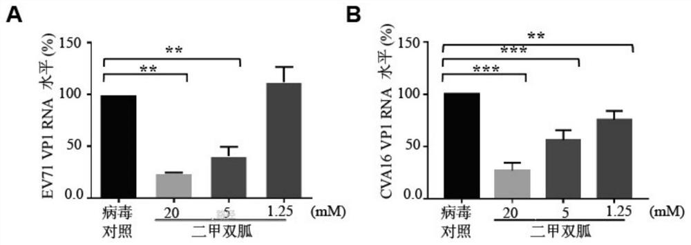 Application of metformin in preparation of medicine for treating hand-foot-and-mouth disease