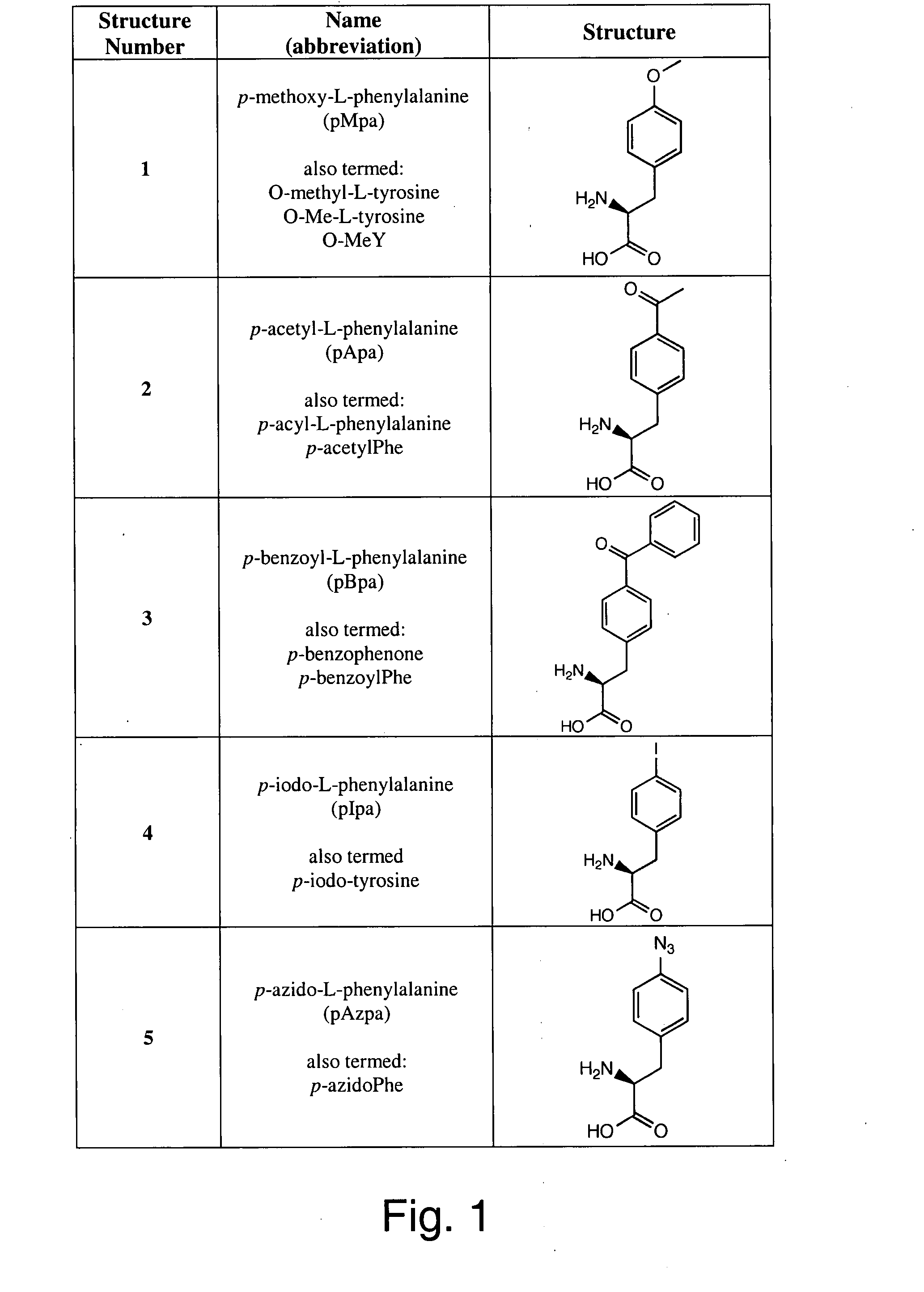 Genetic incorporation of unnatural amino acids into proteins in mammalian cells