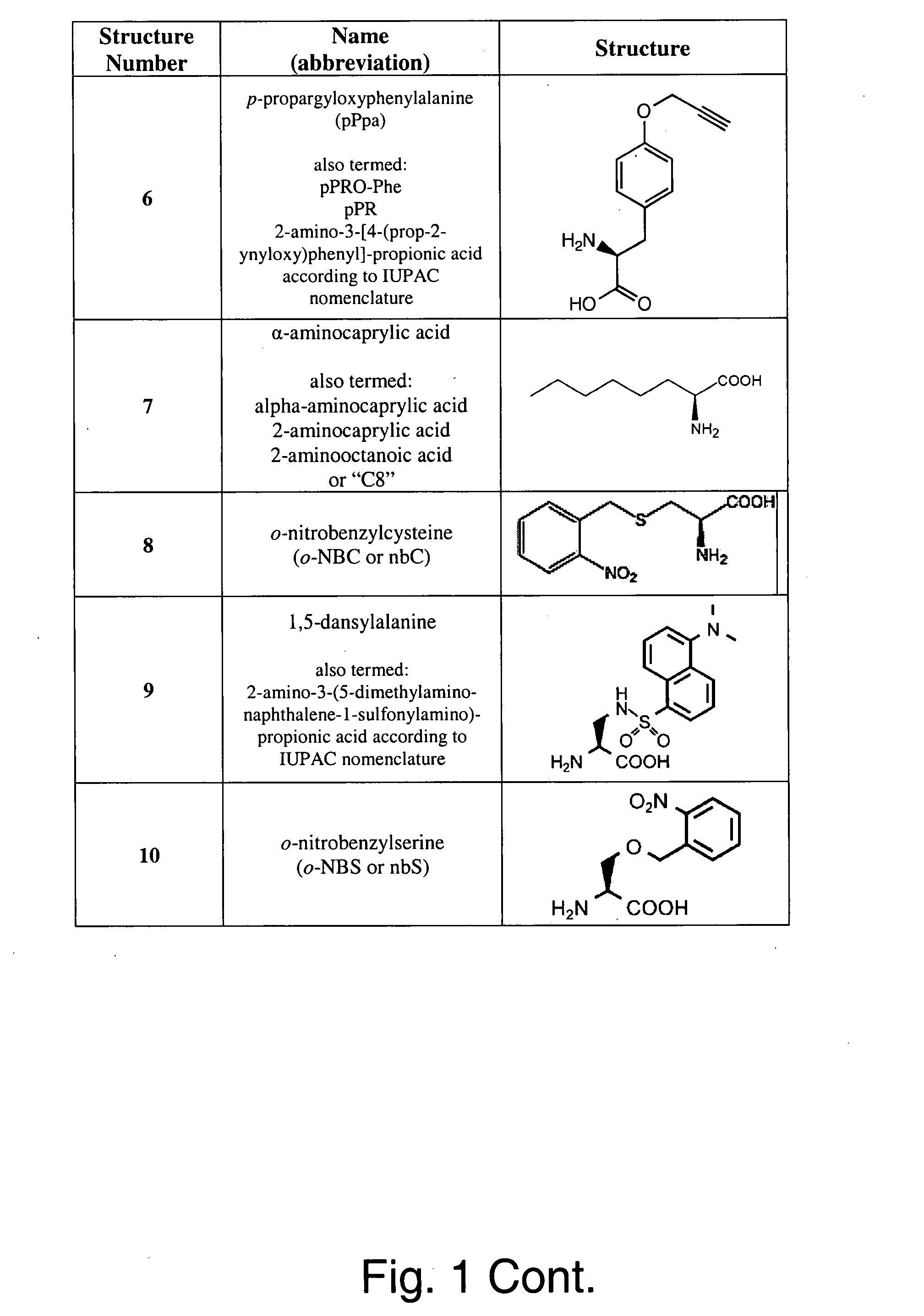 Genetic incorporation of unnatural amino acids into proteins in mammalian cells