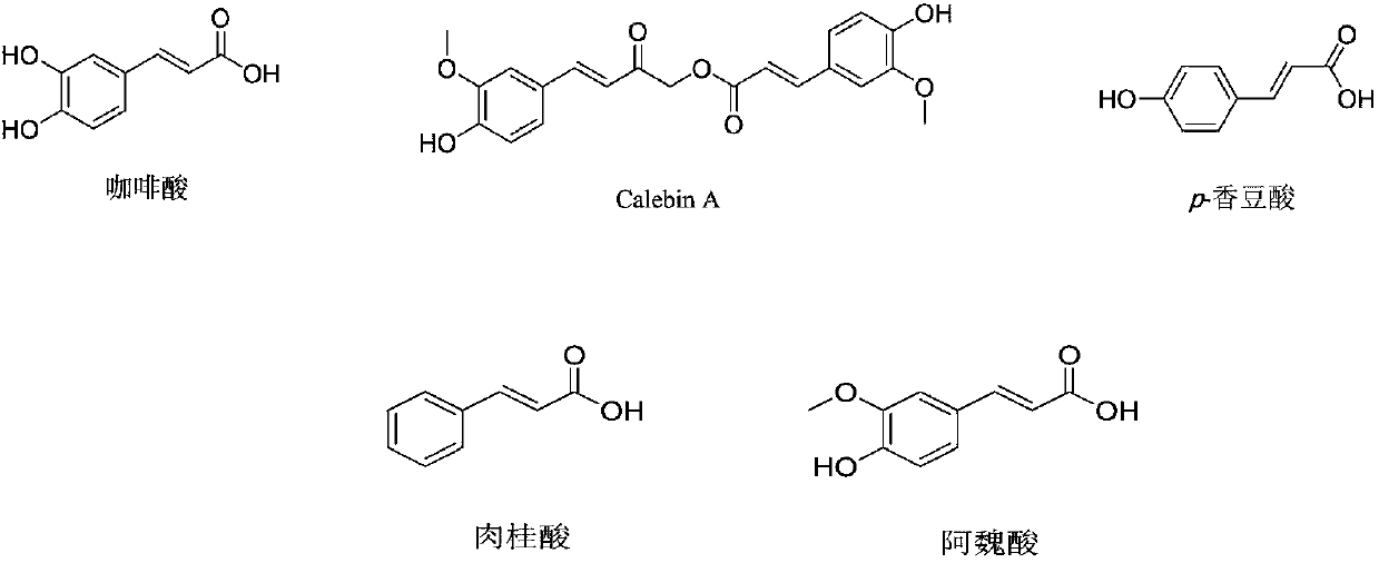 Phenylacrylate derivative and application thereof as neuroprotective drug