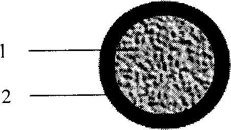 Nano granule of polylysine amylum and its preparation method as well as application gene carrier