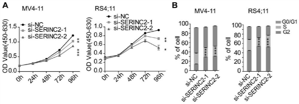 The invention also discloses application of serine integration factor 2 in MLL fusion gene leukemia
