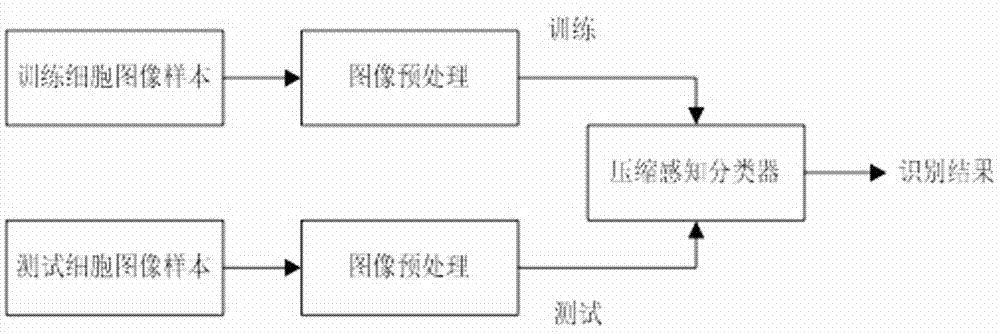 Cell image recognition method and cell image recognition device