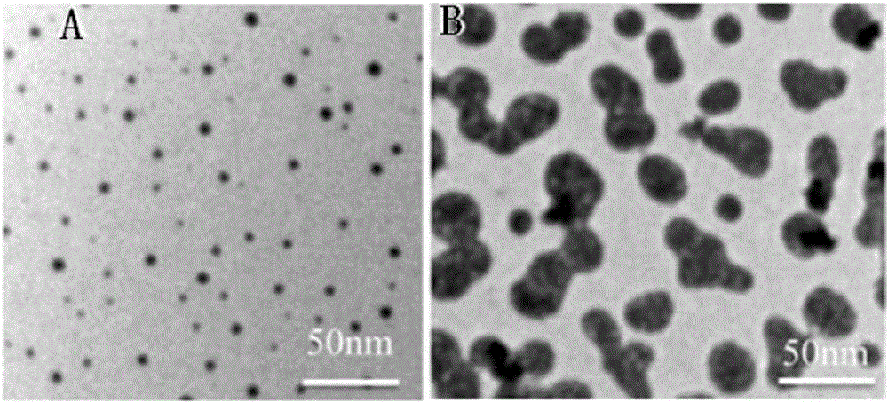 Preparation method of garcinia mangostana-based carbon nanodot and application of carbon nanodot to detecting ferric ions as fluorescent probe