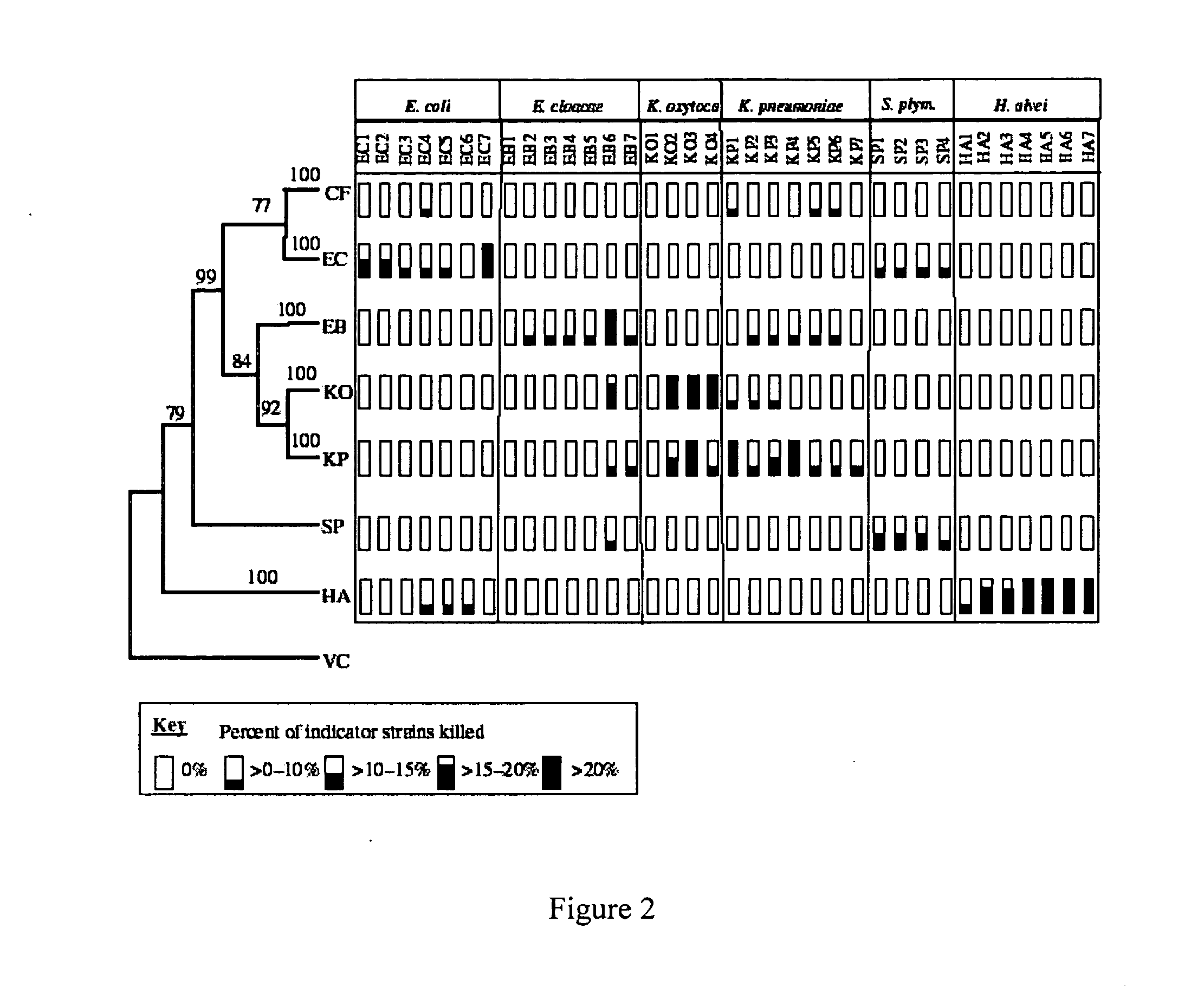 Engineered bacteriocins and bacteriocin combinations and methods for treating bacterial based infections