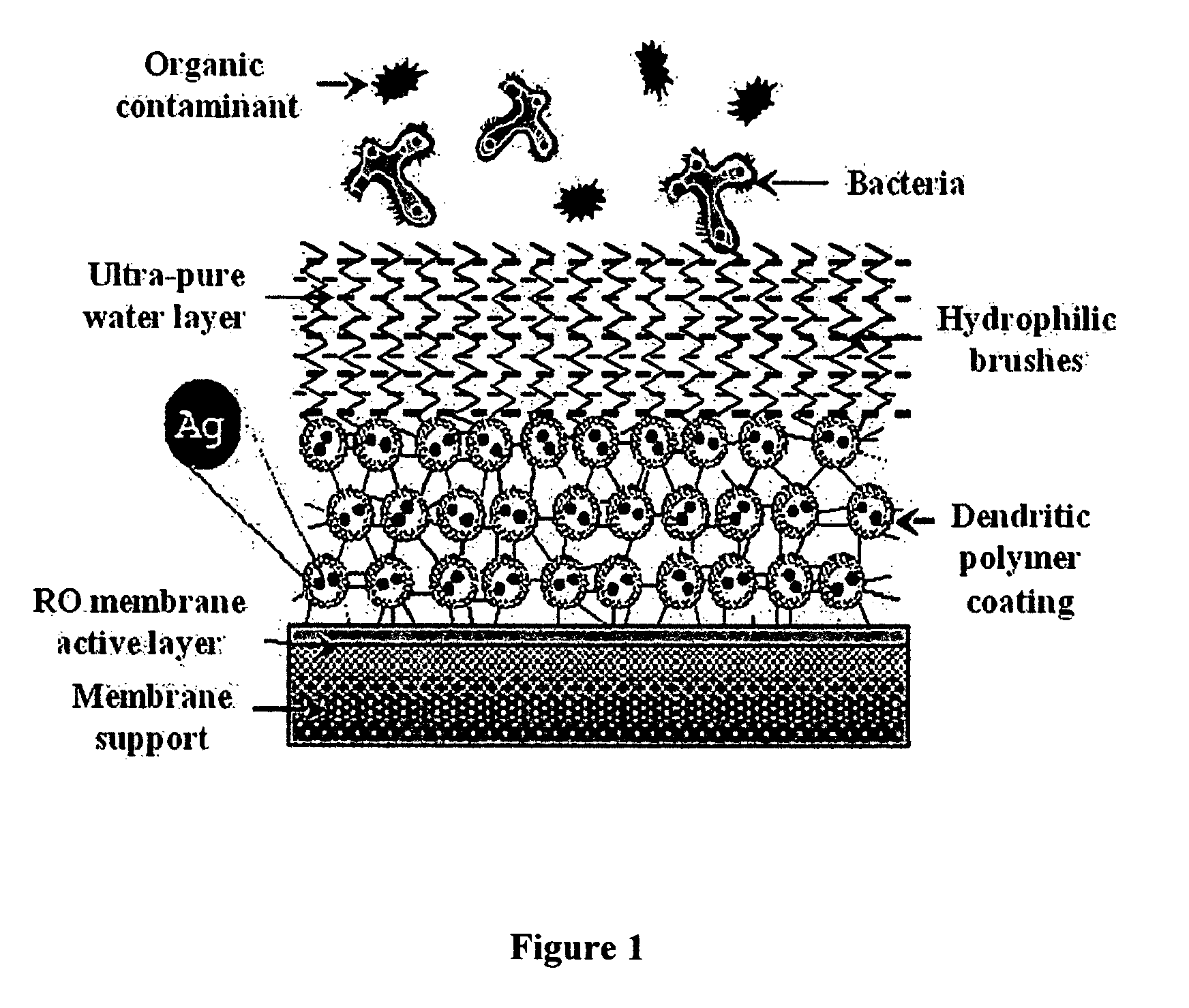 Surface modification of polyamide reverse osmosis membranes