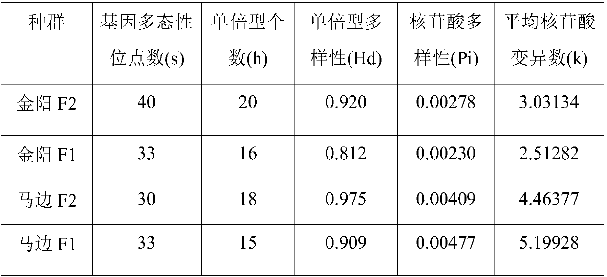 Specific primer and detection method of macaca thibetana mitochondria D-loop region and application