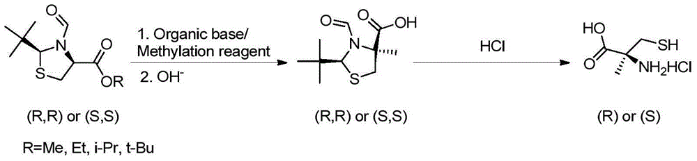 Preparation method of chirality 2-methyl cysteine and hydrochloride thereof