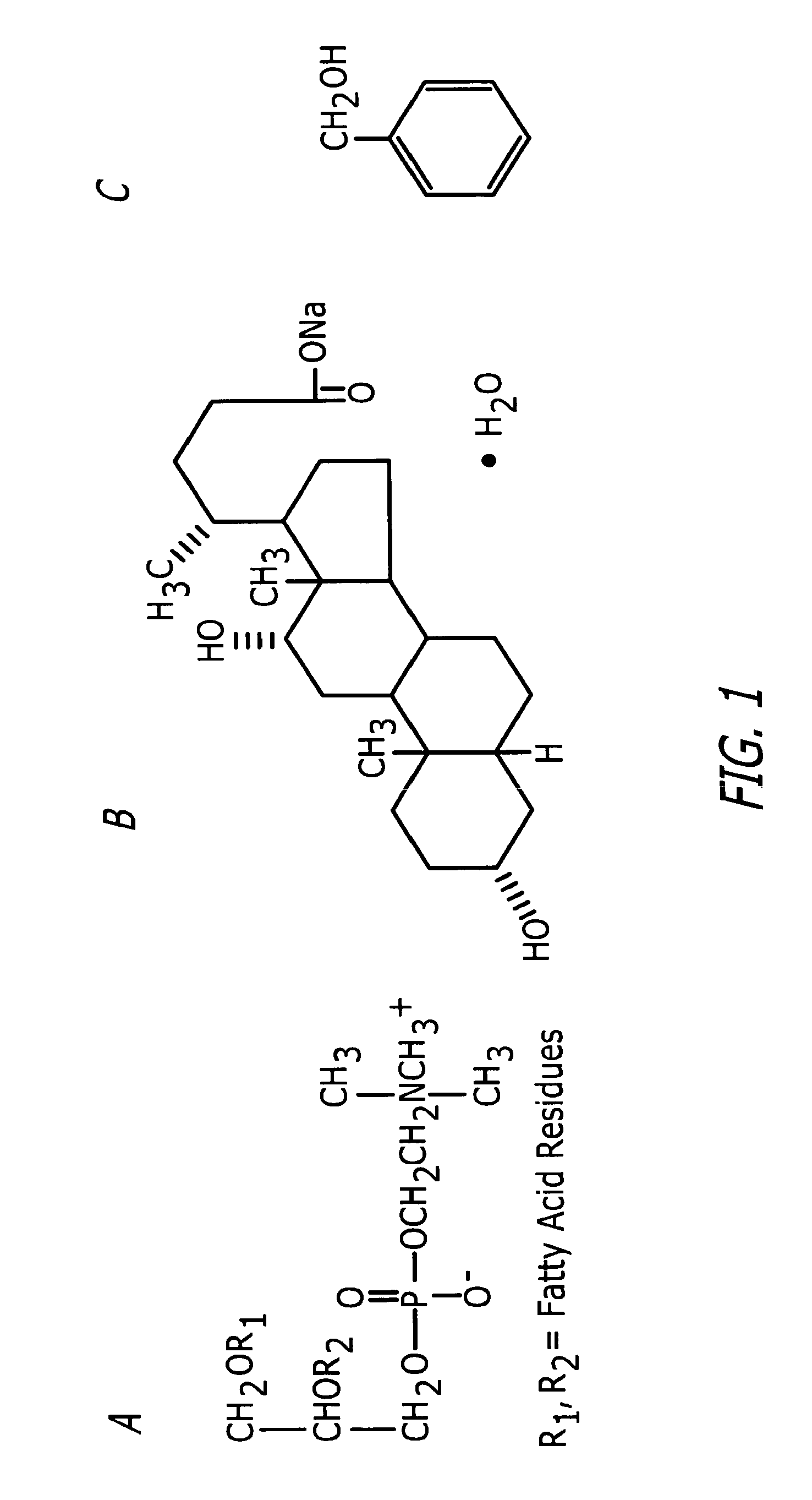 Methods and Related Compositions for Reduction of Fat and Skin Tightening