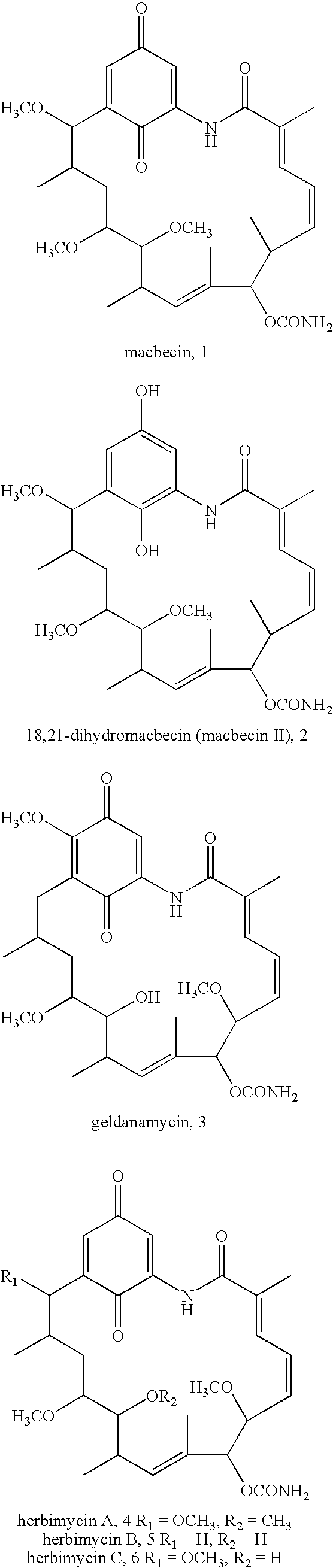 Novel Ansamycin Derivatives