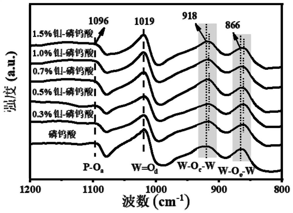 Super-hydrophobic molybdenum-loaded catalyst as well as preparation method and application thereof