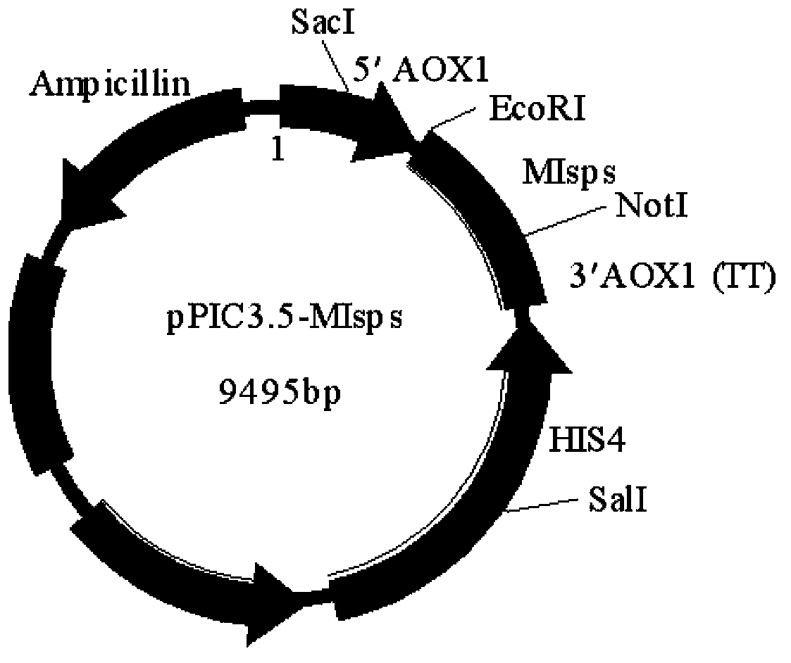 Method for producing isoprene