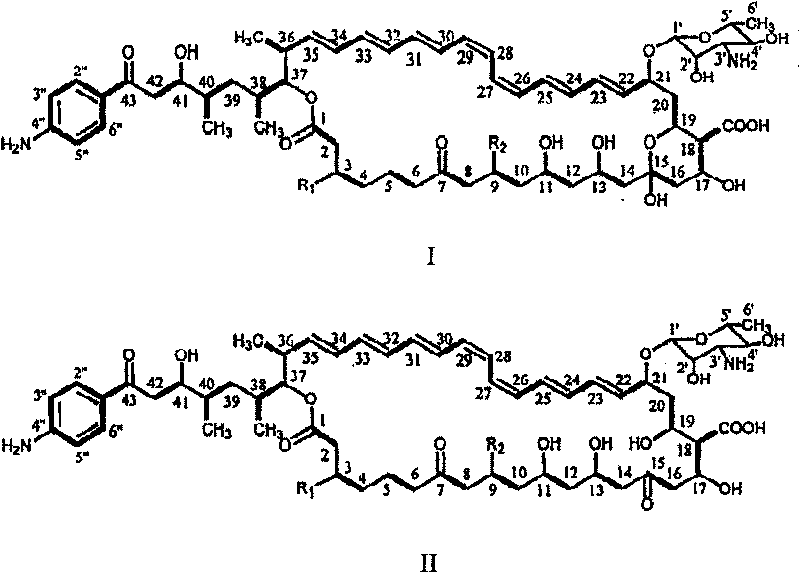 Decarboxylated FR-008 derivative polyketone antibiotic and use thereof