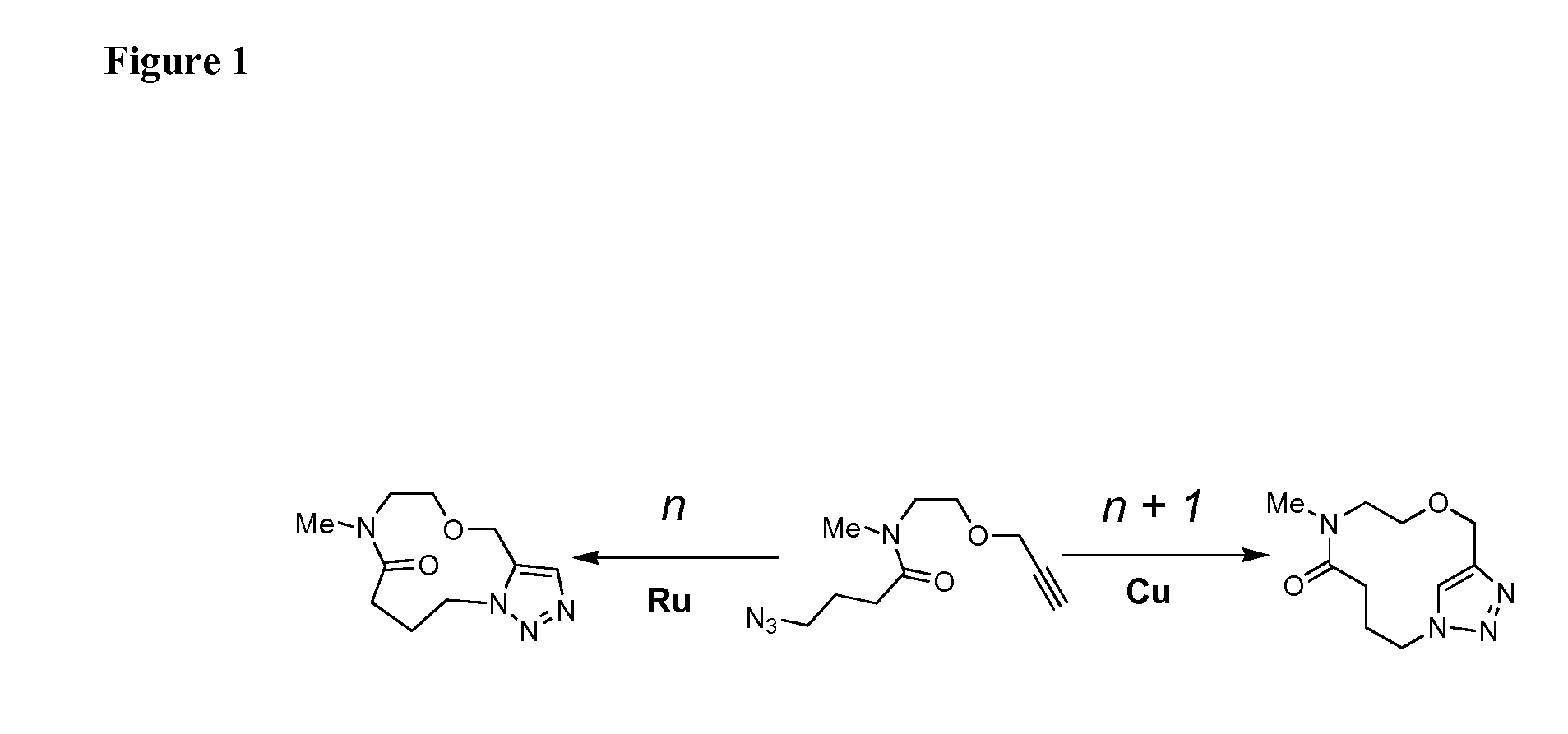 Intramolecular azide-alkyne cycloaddition