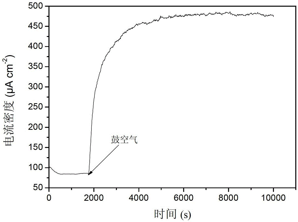 A kind of preparation method of biocathode based on silicon rubber