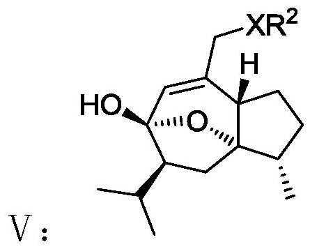 Traditional Chinese medicine active component curcumenol derivative