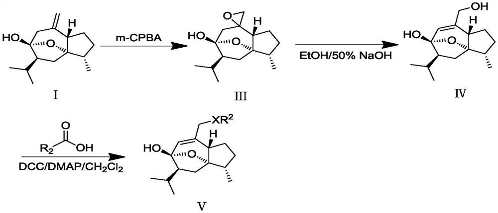 Traditional Chinese medicine active component curcumenol derivative