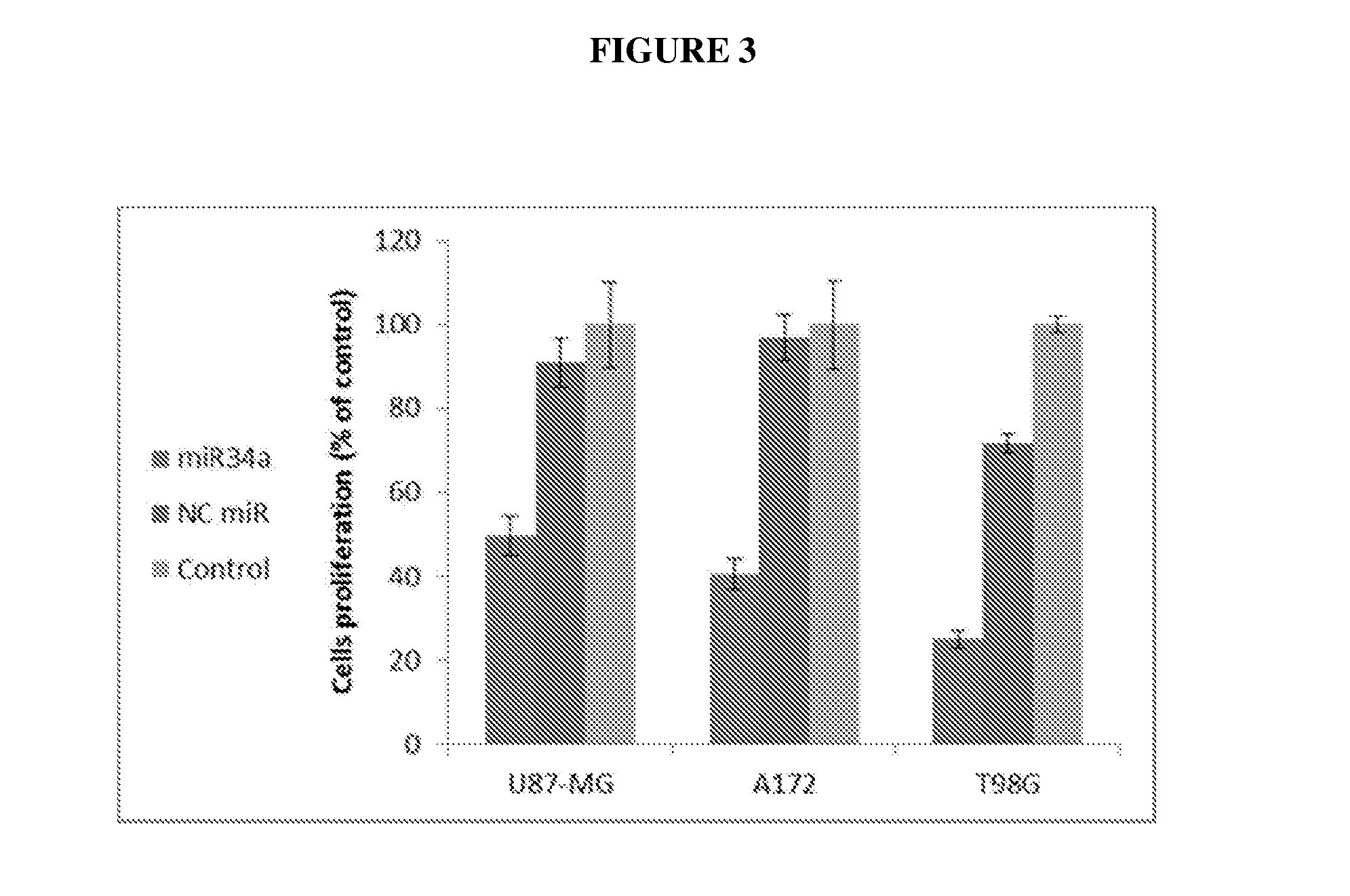 Nanocarrier system for micrornas and uses thereof