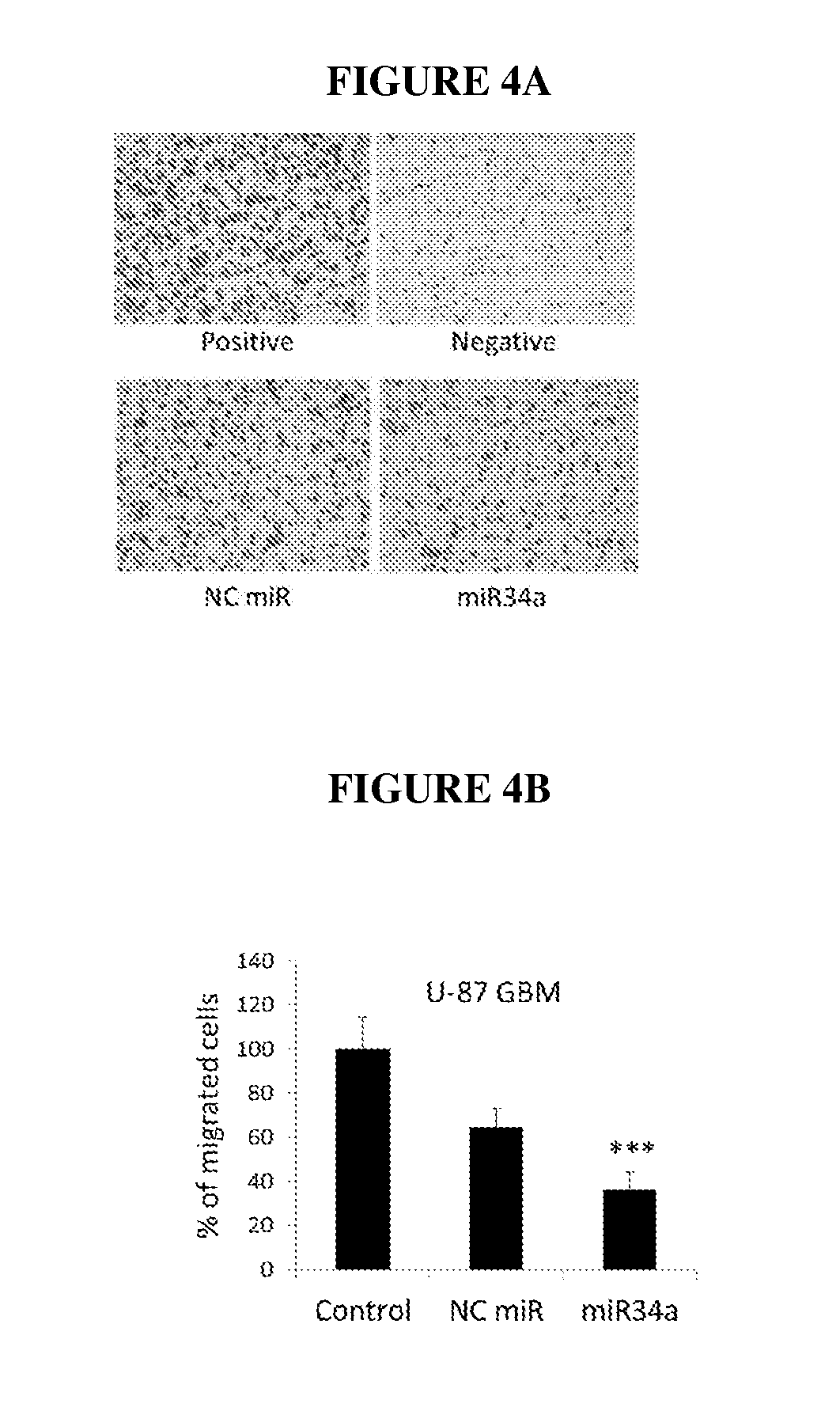 Nanocarrier system for micrornas and uses thereof