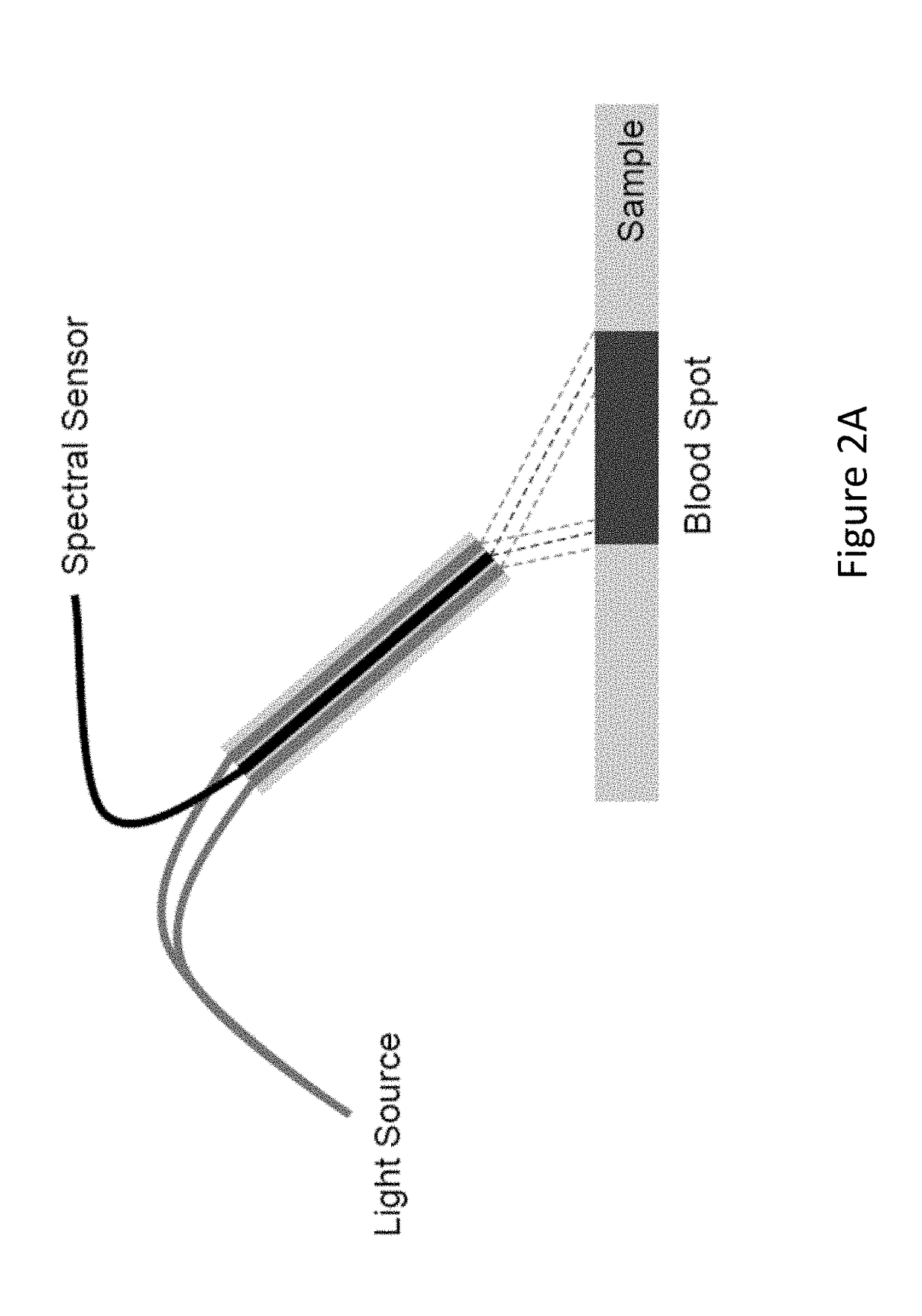 System and method of measuring hematocrit