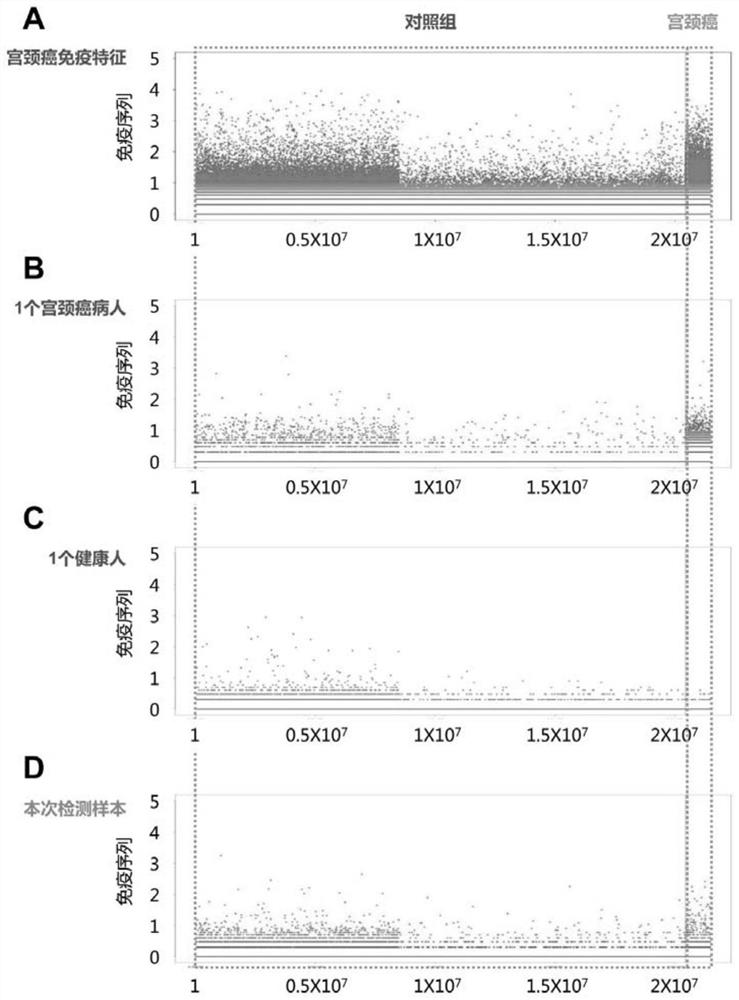 Peripheral blood TCR marker for cervical cancer as well as detection kit and application of peripheral blood TCR marker