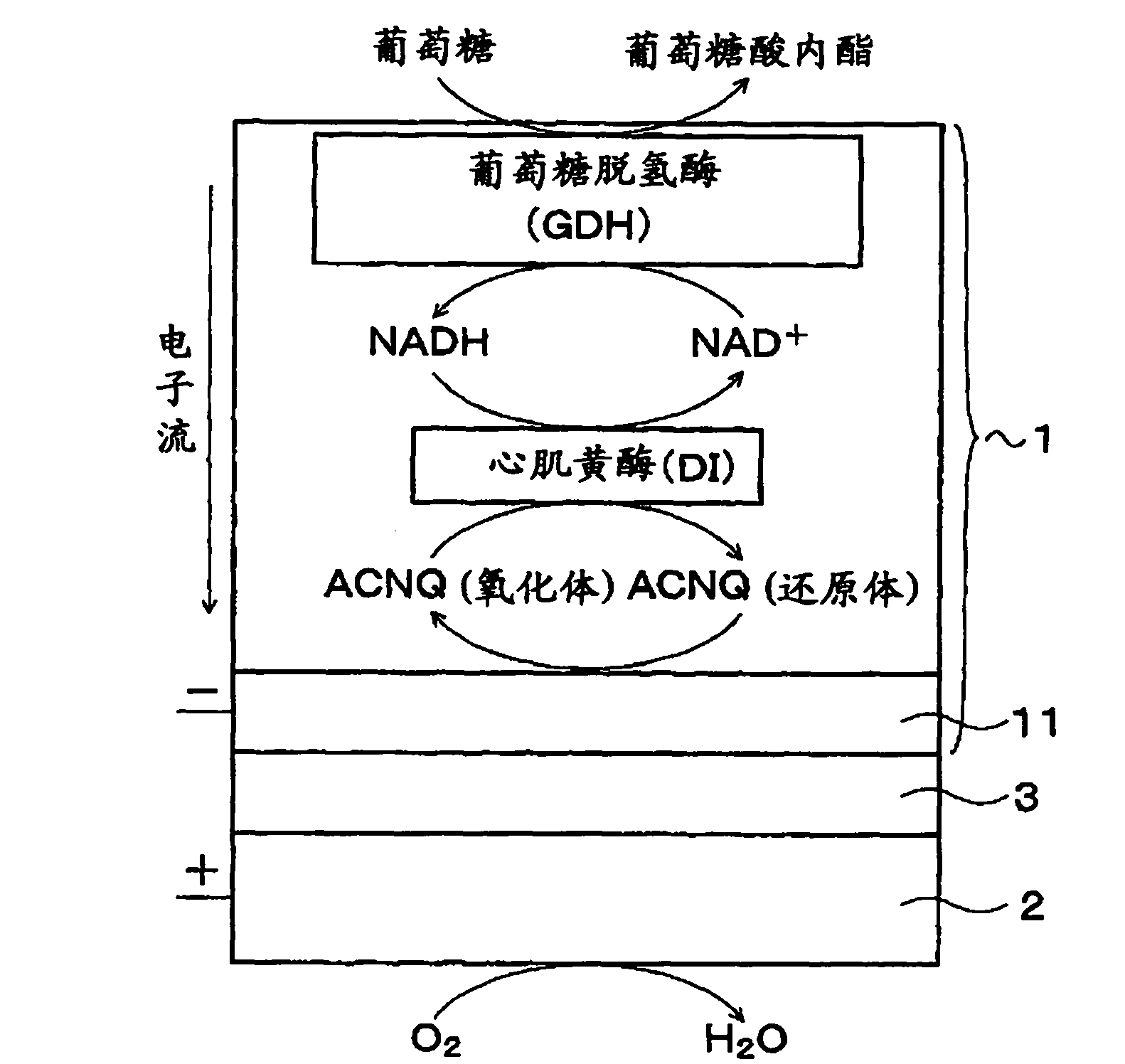 Fuel cell, electronic device and buffer solution for fuel cell