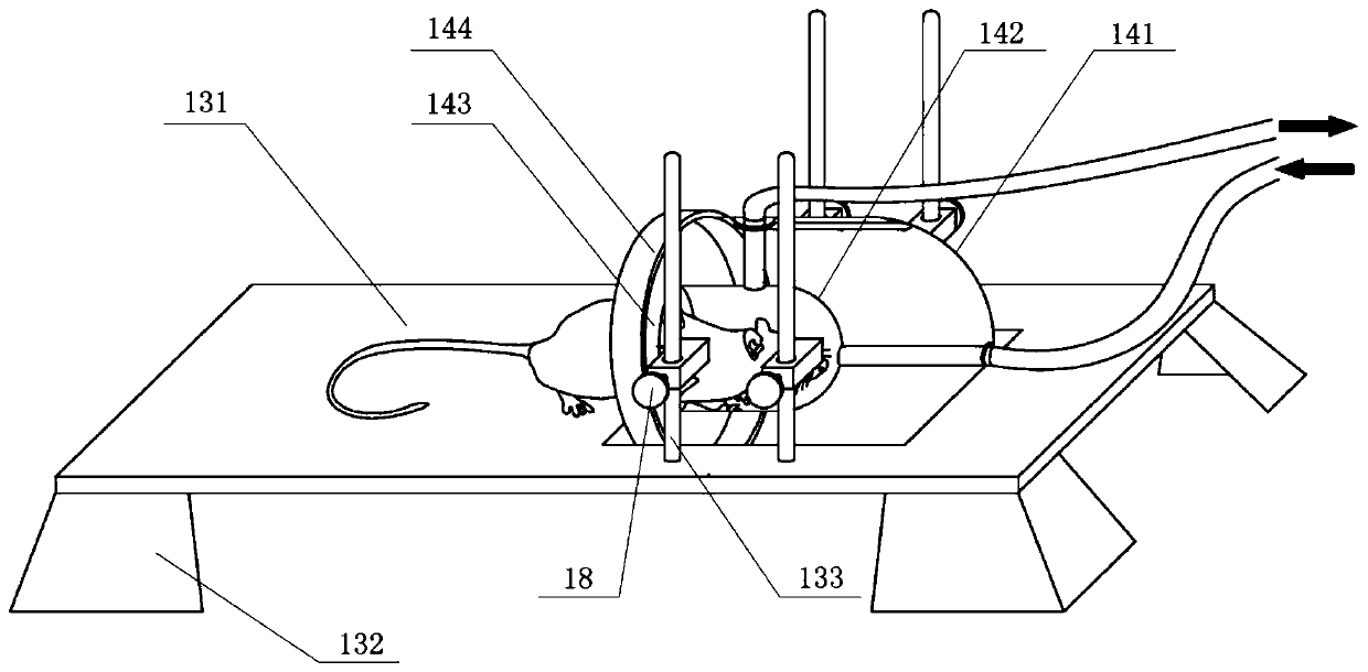 Dose-adjustable inhalation continuous anesthesia device for small and medium-sized animals