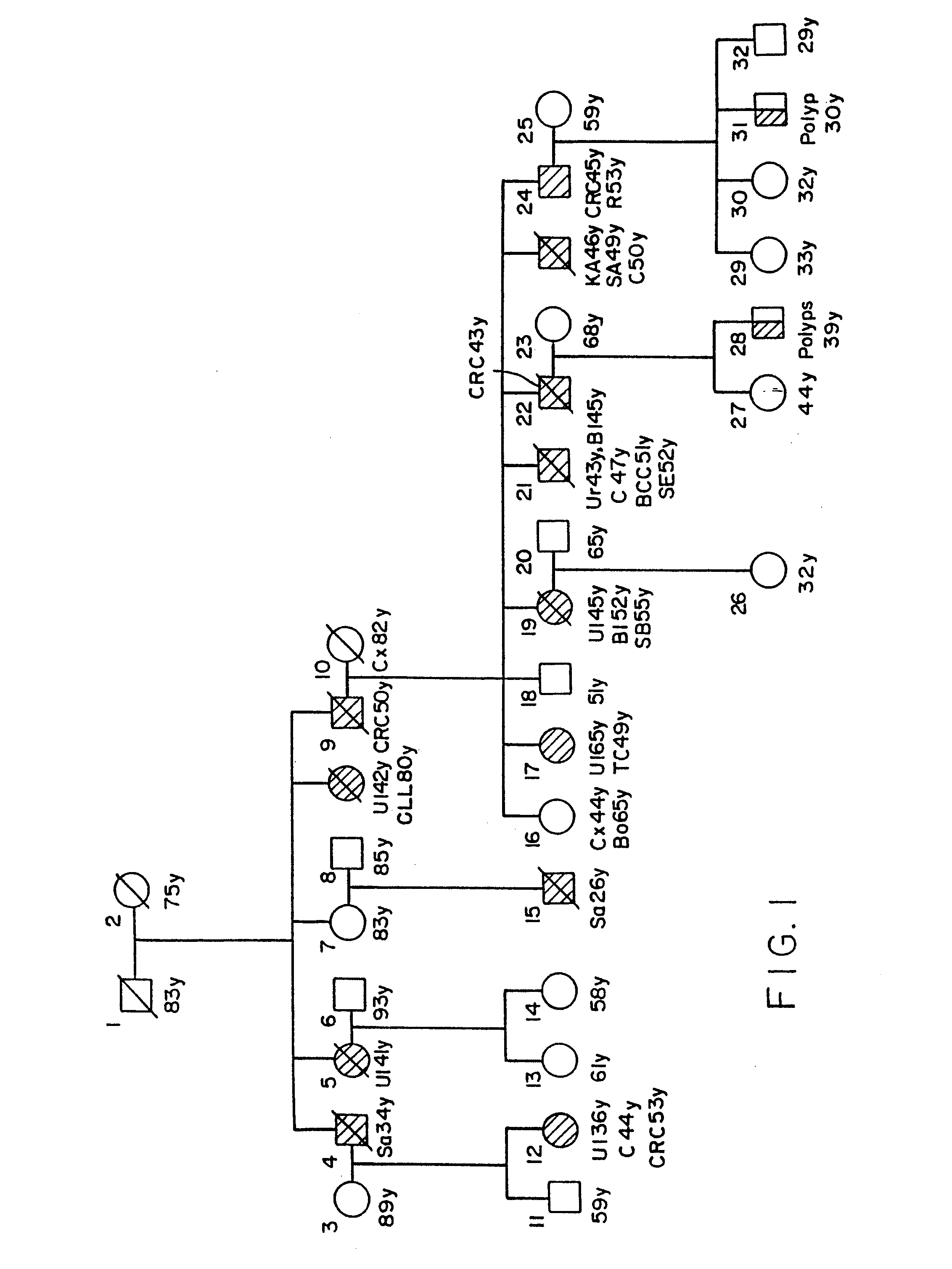 Method for detection of alterations in the DNA mismatch repair pathway