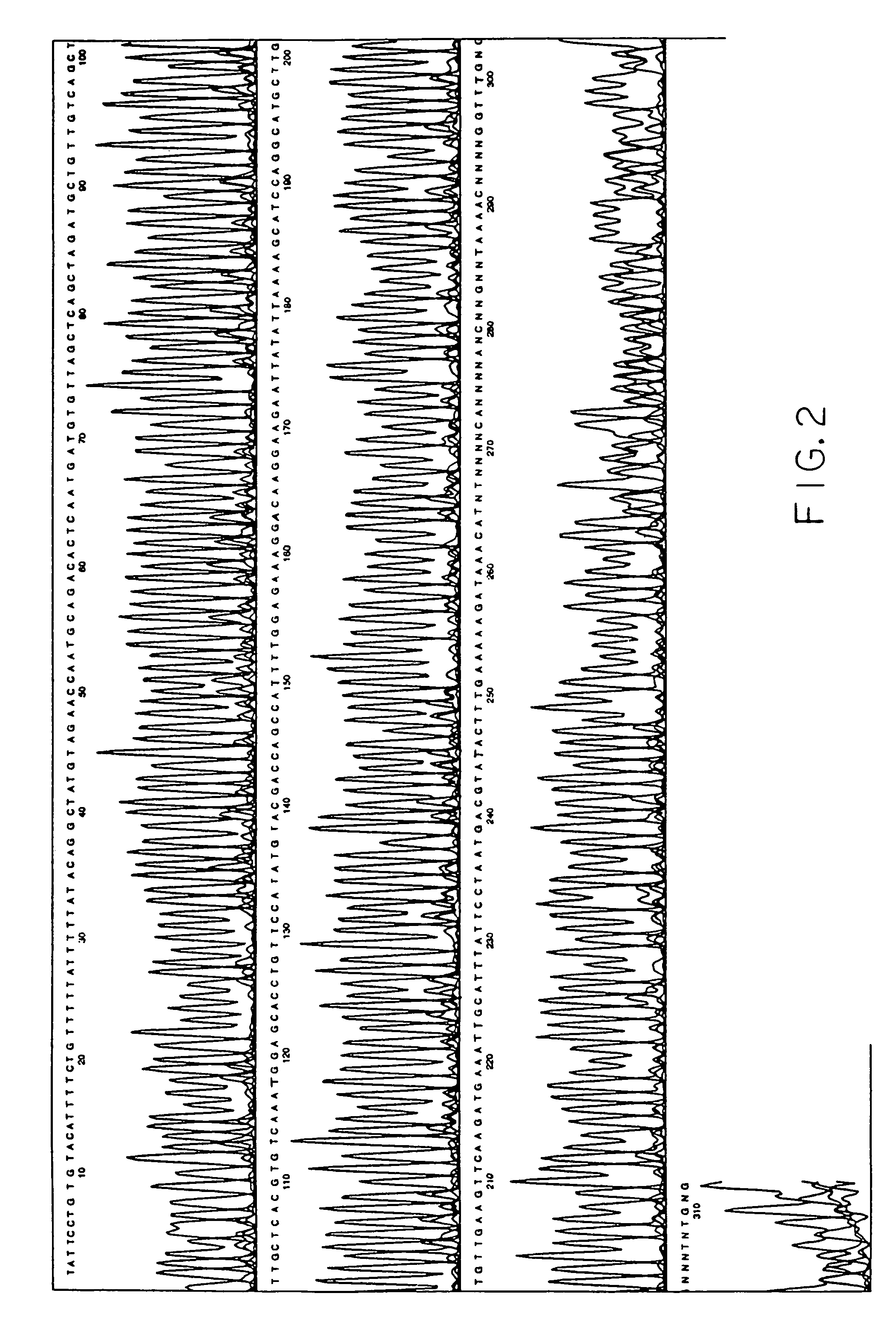 Method for detection of alterations in the DNA mismatch repair pathway