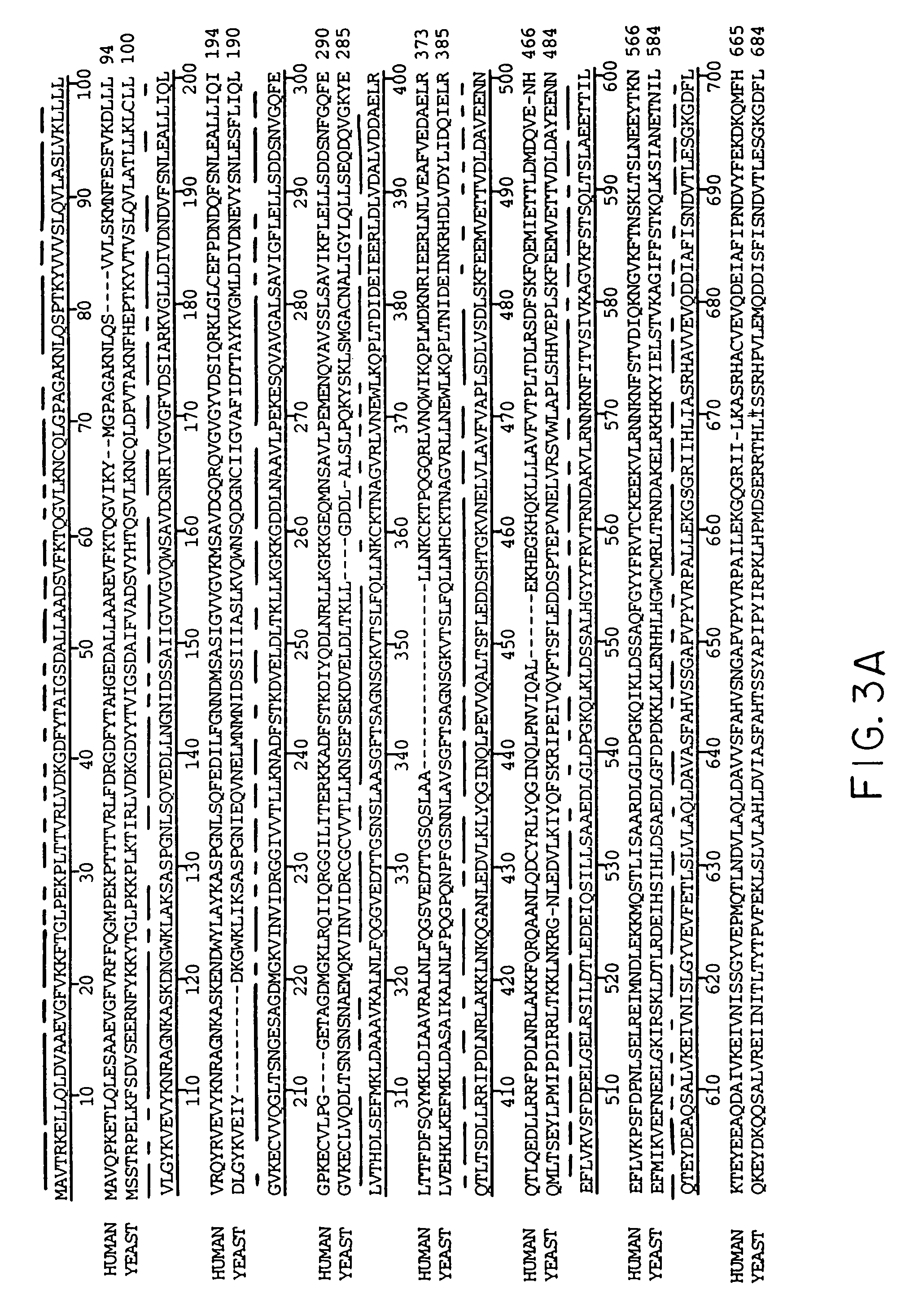 Method for detection of alterations in the DNA mismatch repair pathway