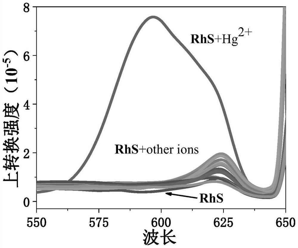 Application of rhodamine thiospirolactone in detection of mercury ions by up-conversion fluorescence analysis method