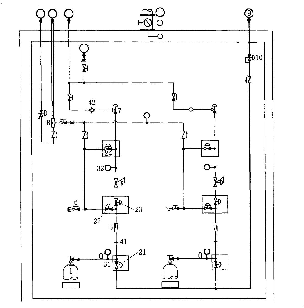 Special gas supply and distribution device